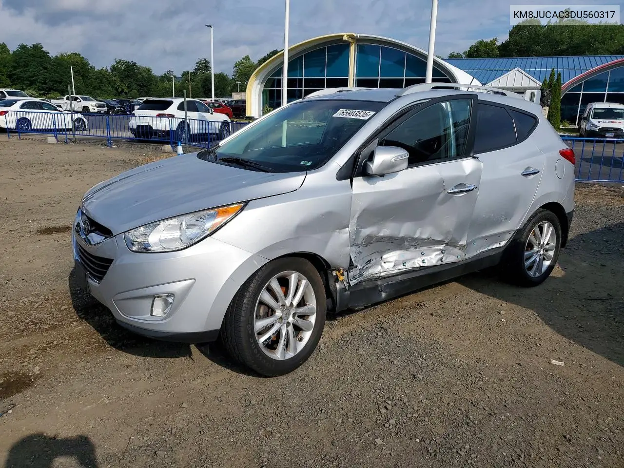 HYUNDAI TUCSON 2013, VIN KM8JUCAC3DU560317