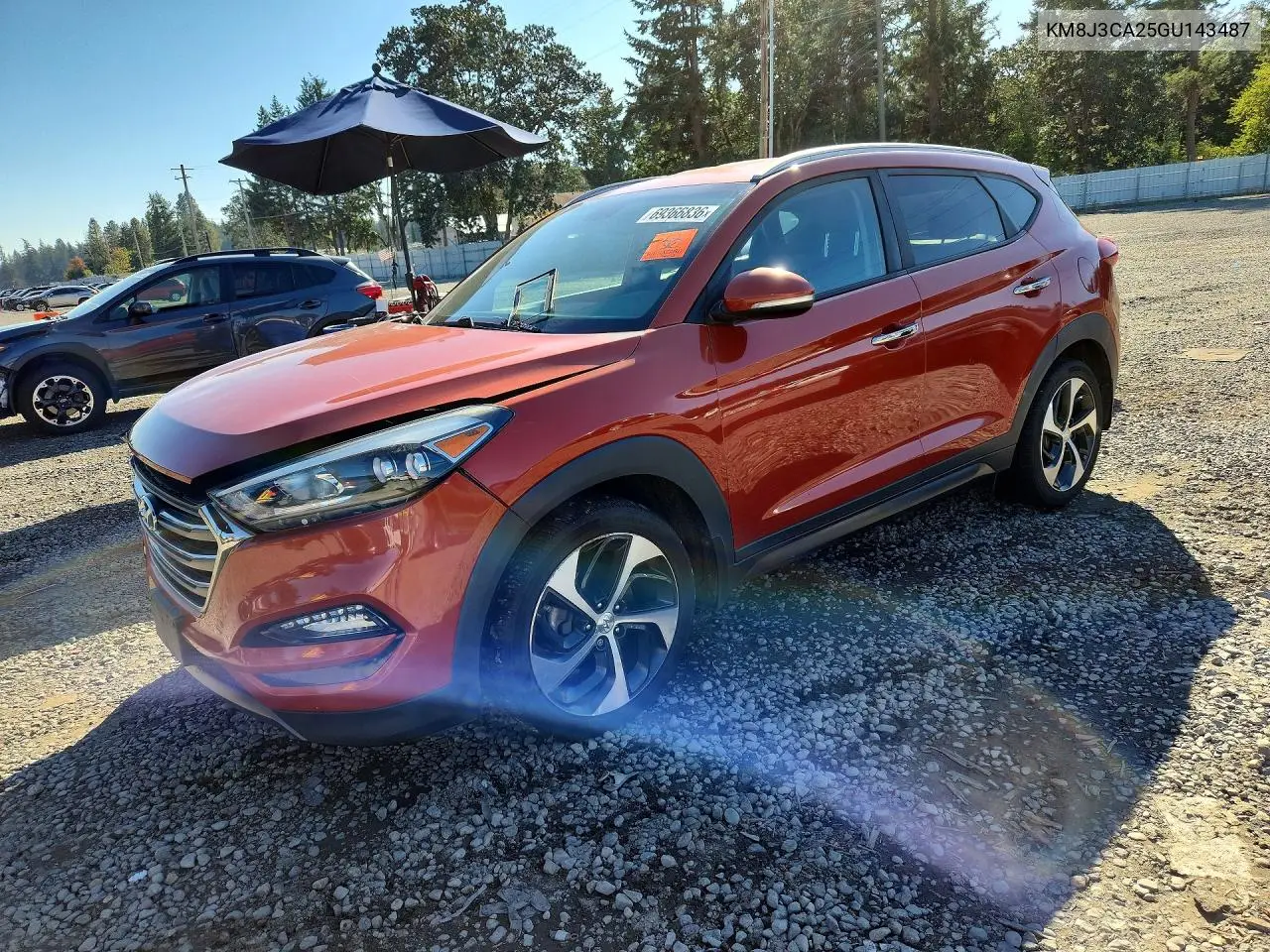 HYUNDAI TUCSON 2016, VIN KM8J3CA25GU143487