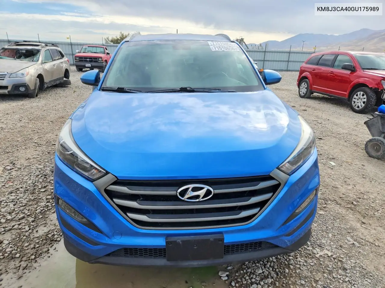 HYUNDAI TUCSON 2016, VIN KM8J3CA40GU175989