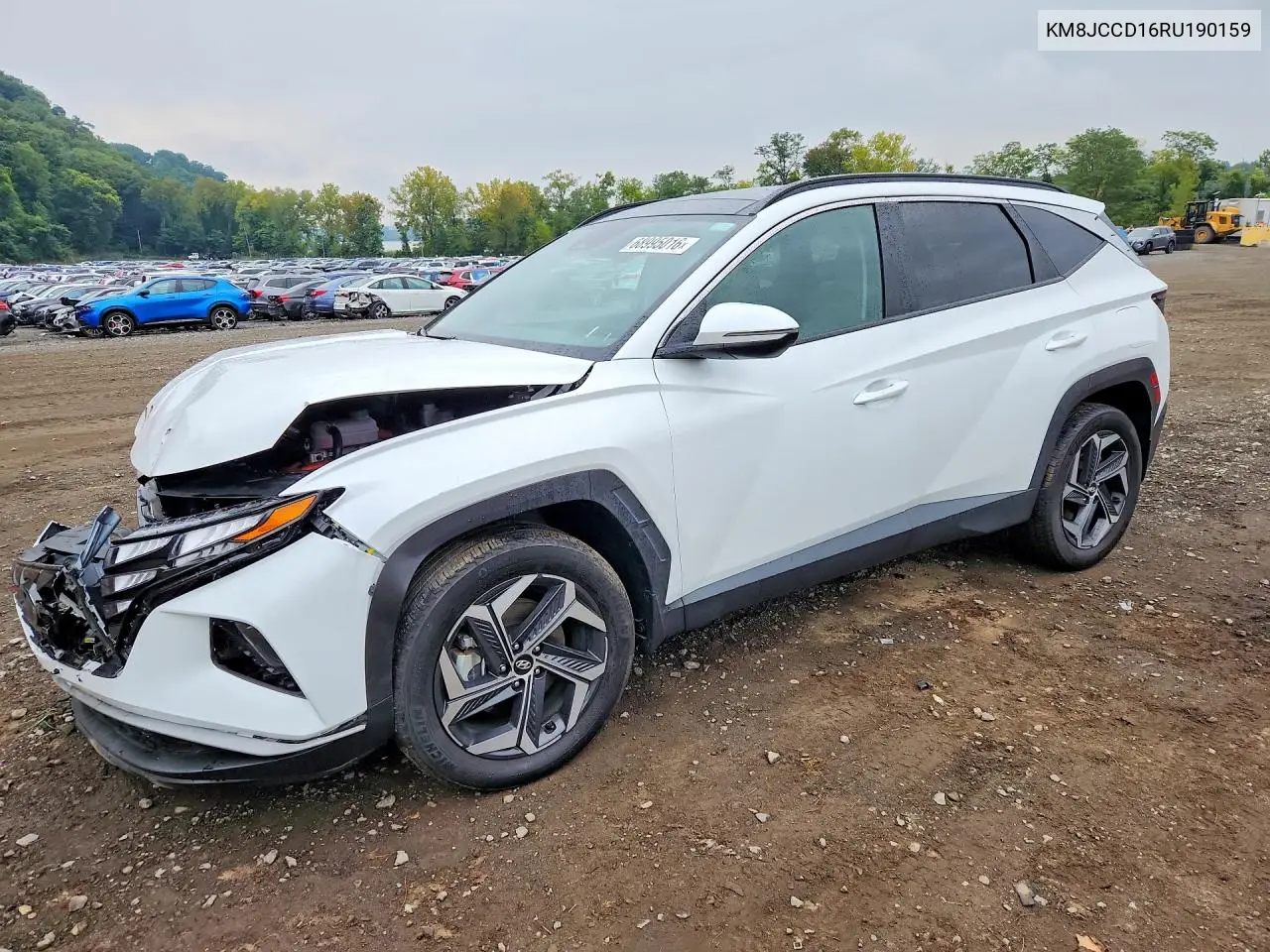 HYUNDAI TUCSON 2024, VIN KM8JCCD16RU190159