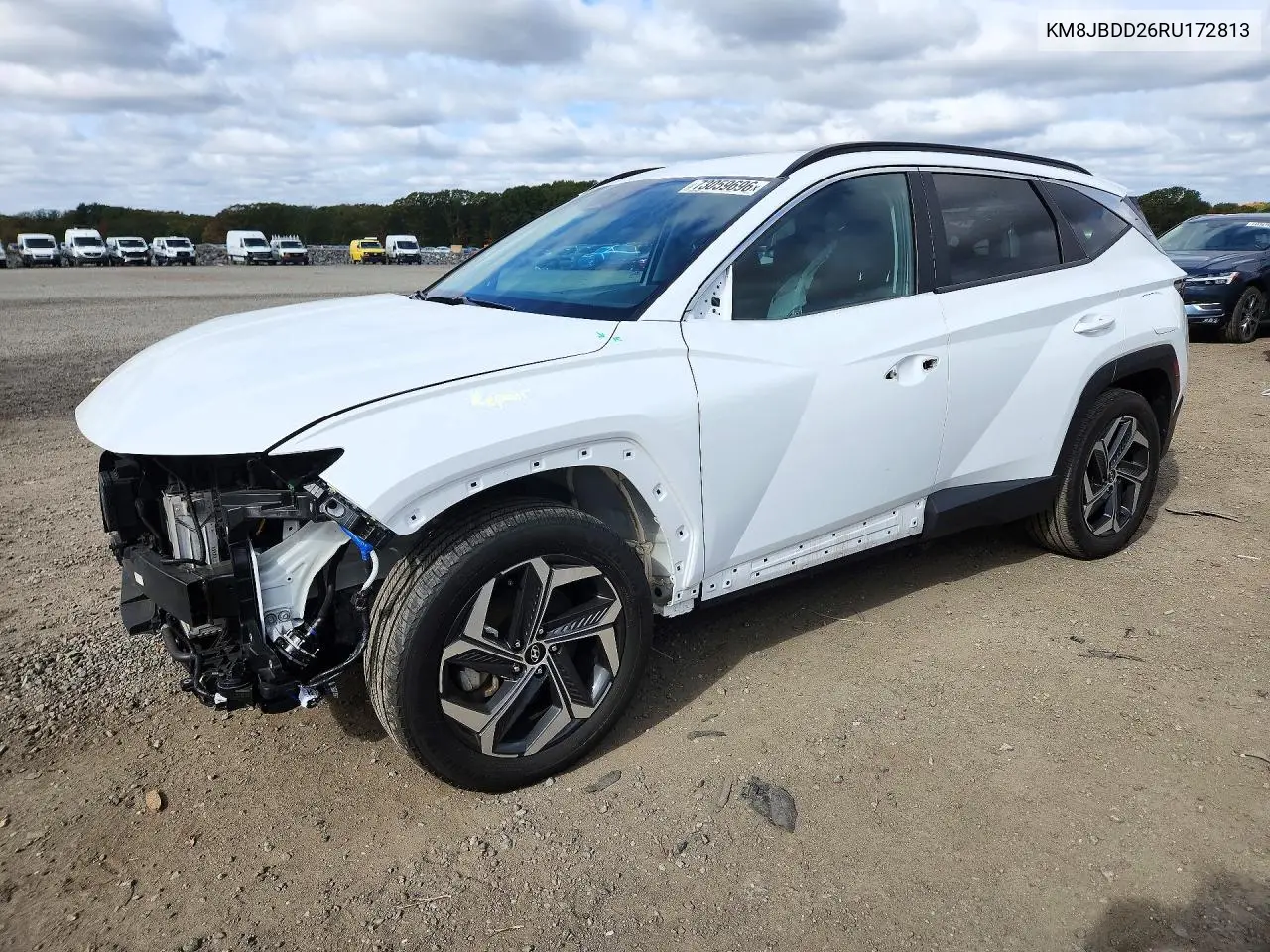 HYUNDAI TUCSON 2024, VIN KM8JBDD26RU172813