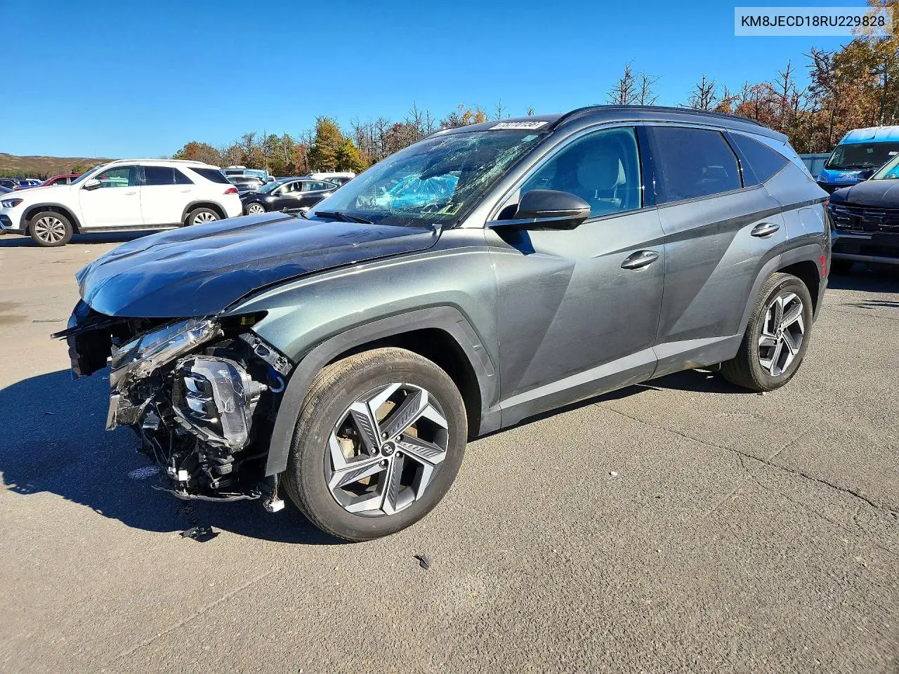 HYUNDAI TUCSON 2024, VIN KM8JECD18RU229828