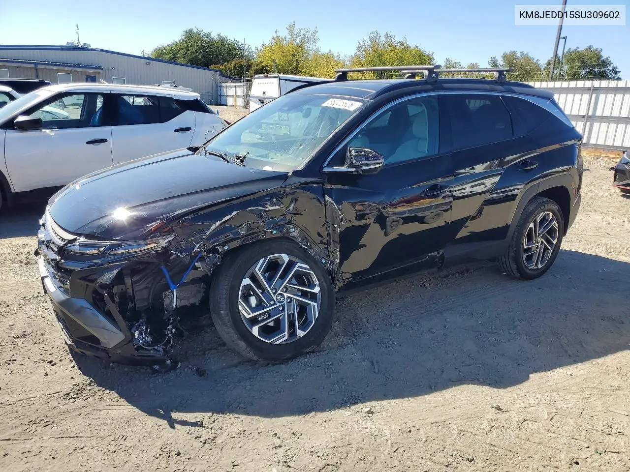 HYUNDAI TUCSON 2025, VIN KM8JEDD15SU309602