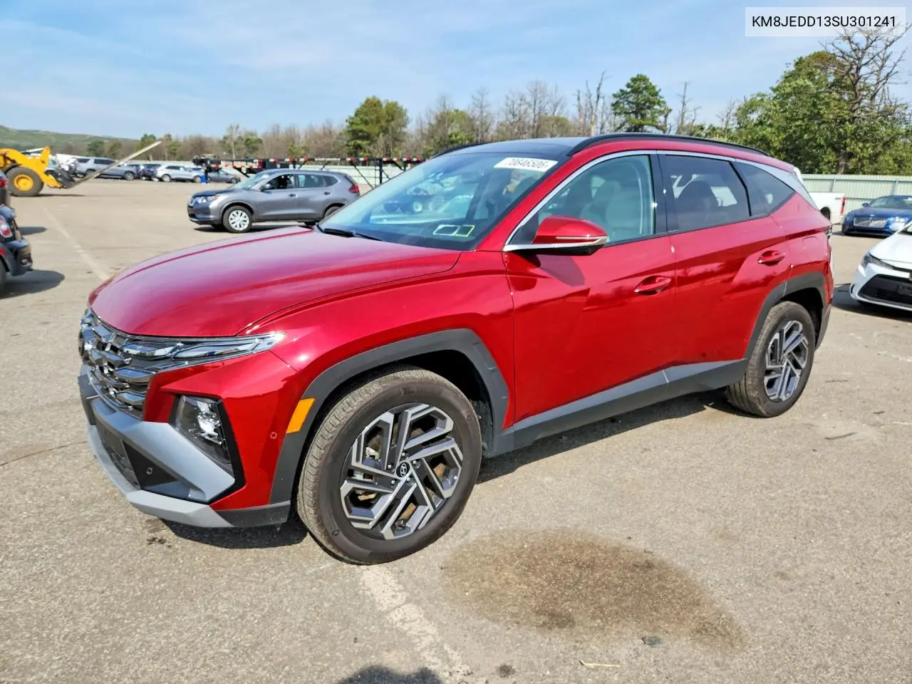 HYUNDAI TUCSON 2025, VIN KM8JEDD13SU301241