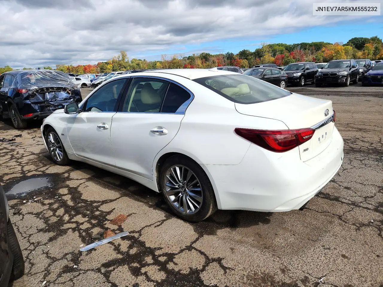 2019 INFINITI Q50 VIN JN1EV7AR5KM555232 — фото 2