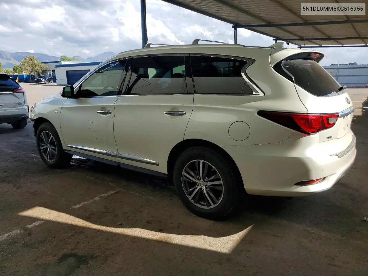 2019 INFINITI QX60 VIN 5N1DL0MM5KC516955 — фото 2