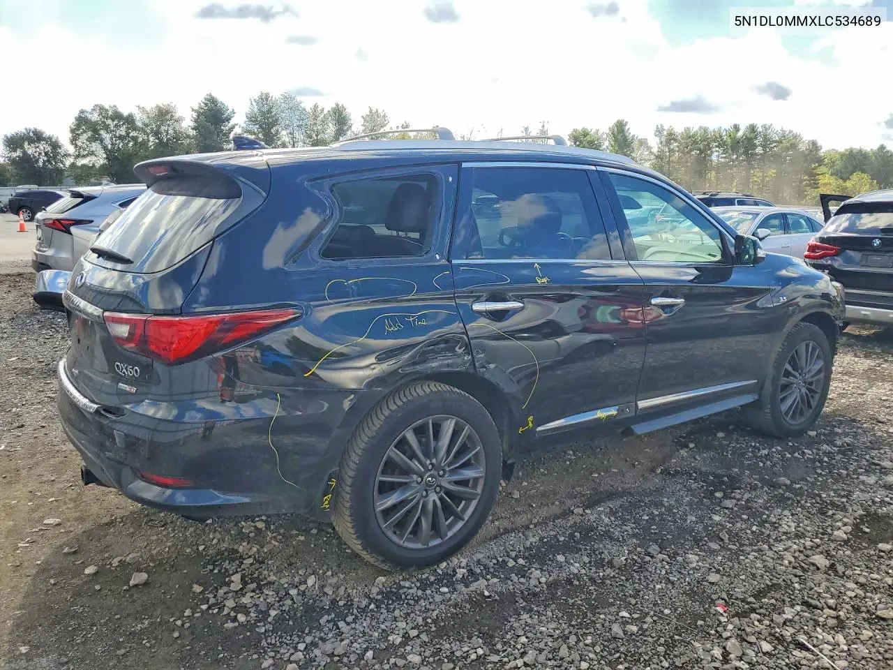 2020 INFINITI QX60 VIN 5N1DL0MMXLC534689 — фото 3