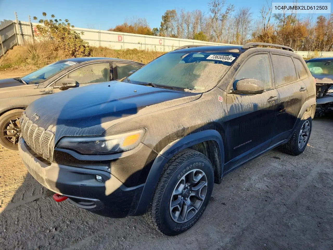 JEEP CHEROKEE 2020, VIN 1C4PJMBX2LD612503