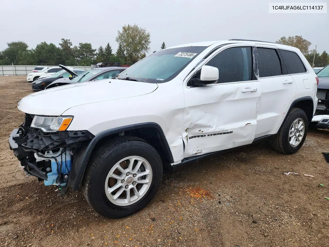 JEEP GRAND CHEROKEE 2020, VIN 1C4RJFAG6LC114137