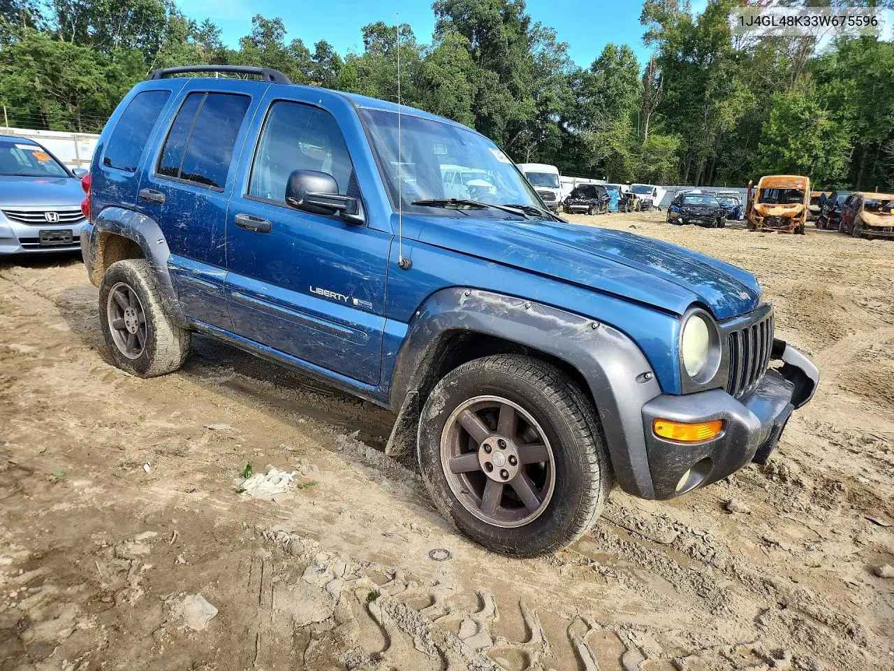 2003 JEEP LIBERTY (NORTH AMERICA) VIN 1J4GL48K33W675596 — фото 4