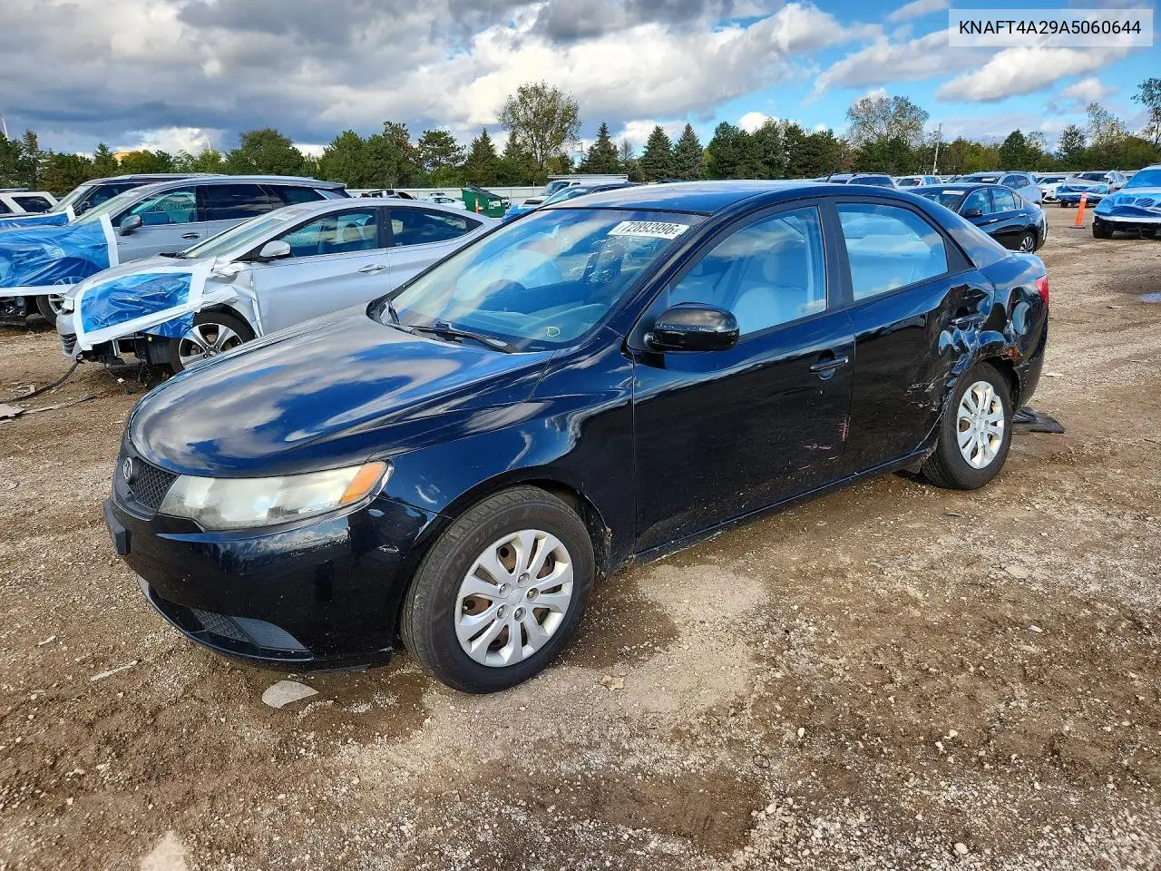 KIA FORTE 2010, VIN KNAFT4A29A5060644