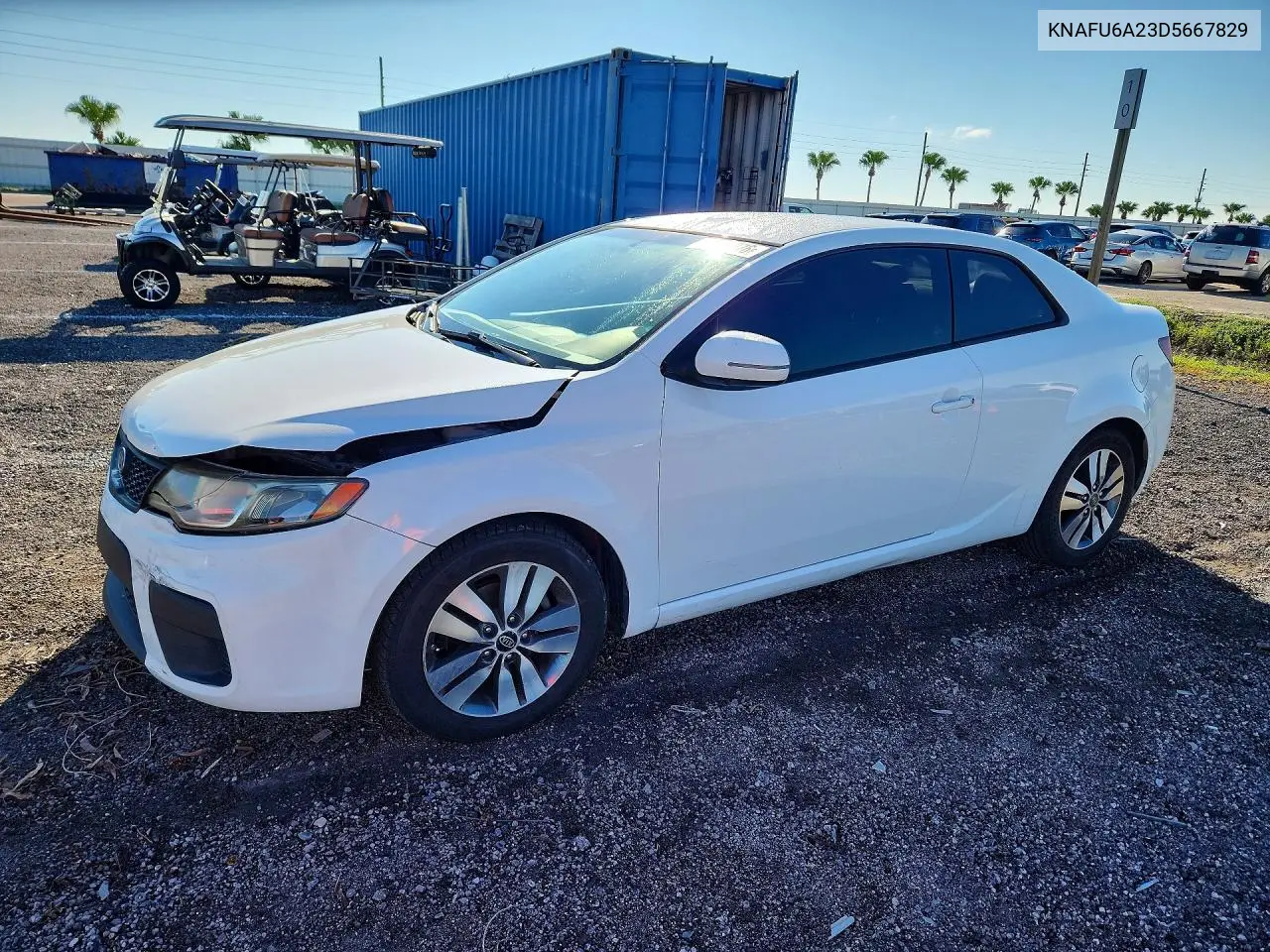 KIA FORTE 2013, VIN KNAFU6A23D5667829