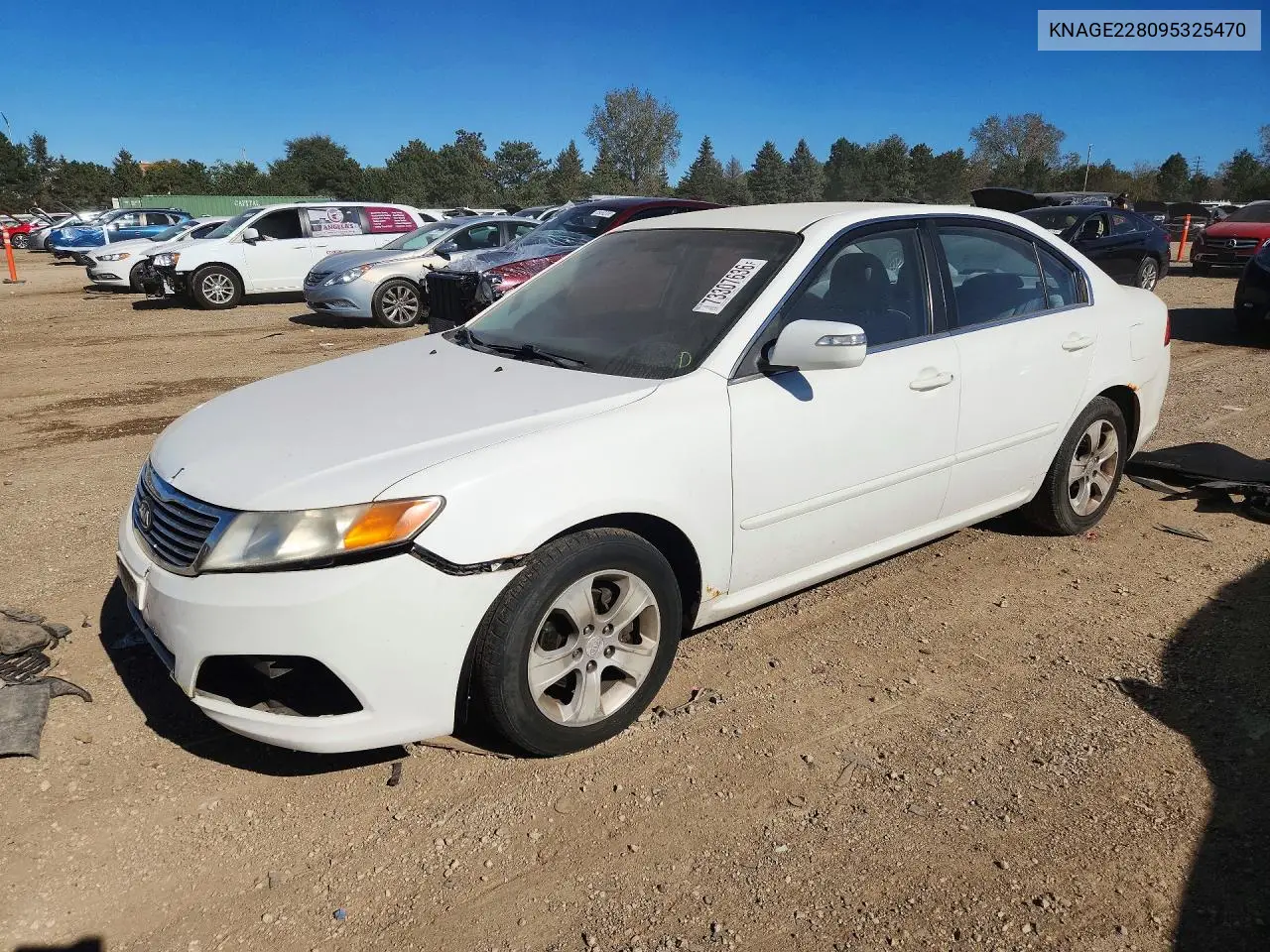 KIA OPTIMA 2009, VIN KNAGE228095325470