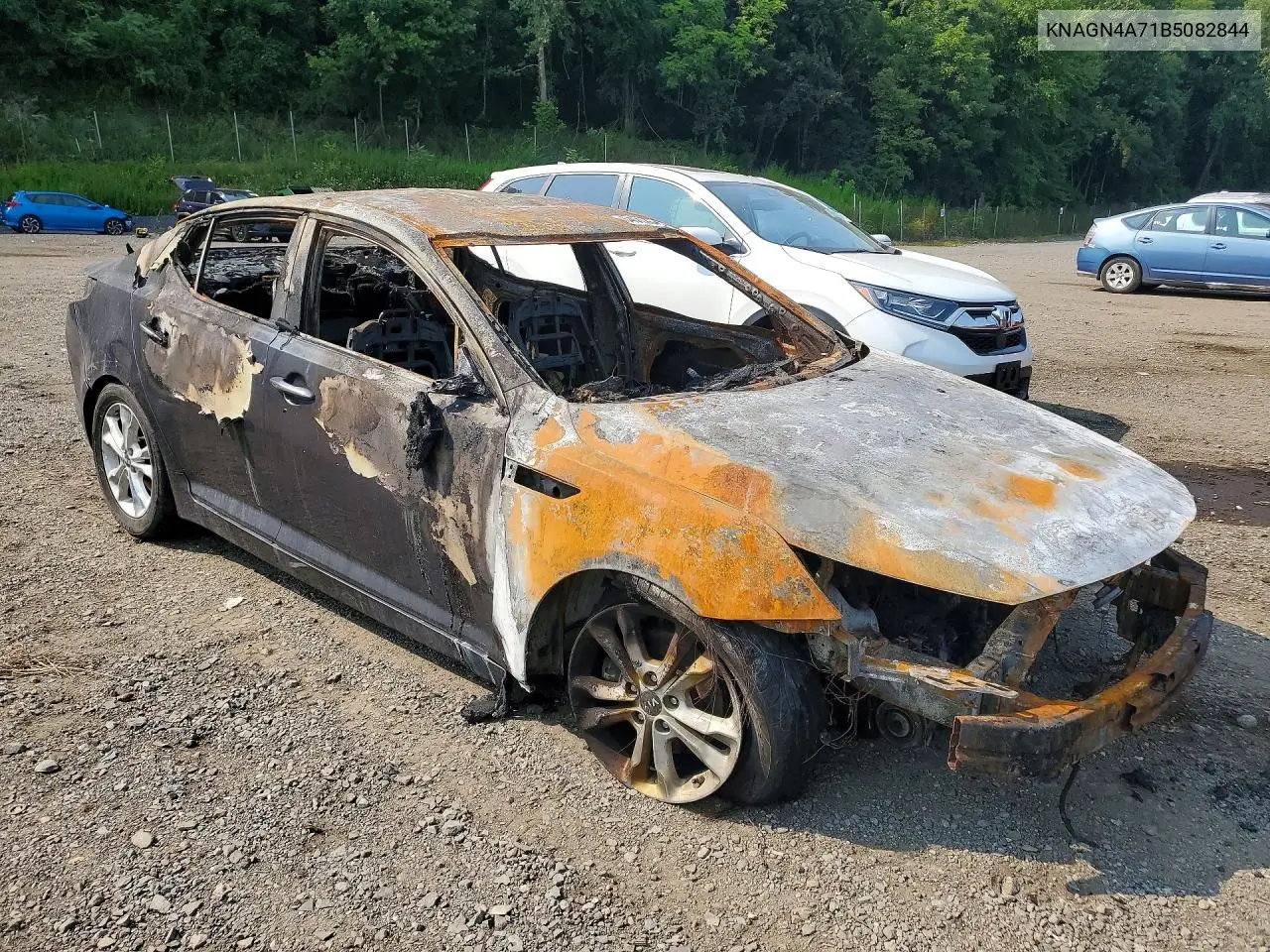 KIA OPTIMA 2011, VIN KNAGN4A71B5082844