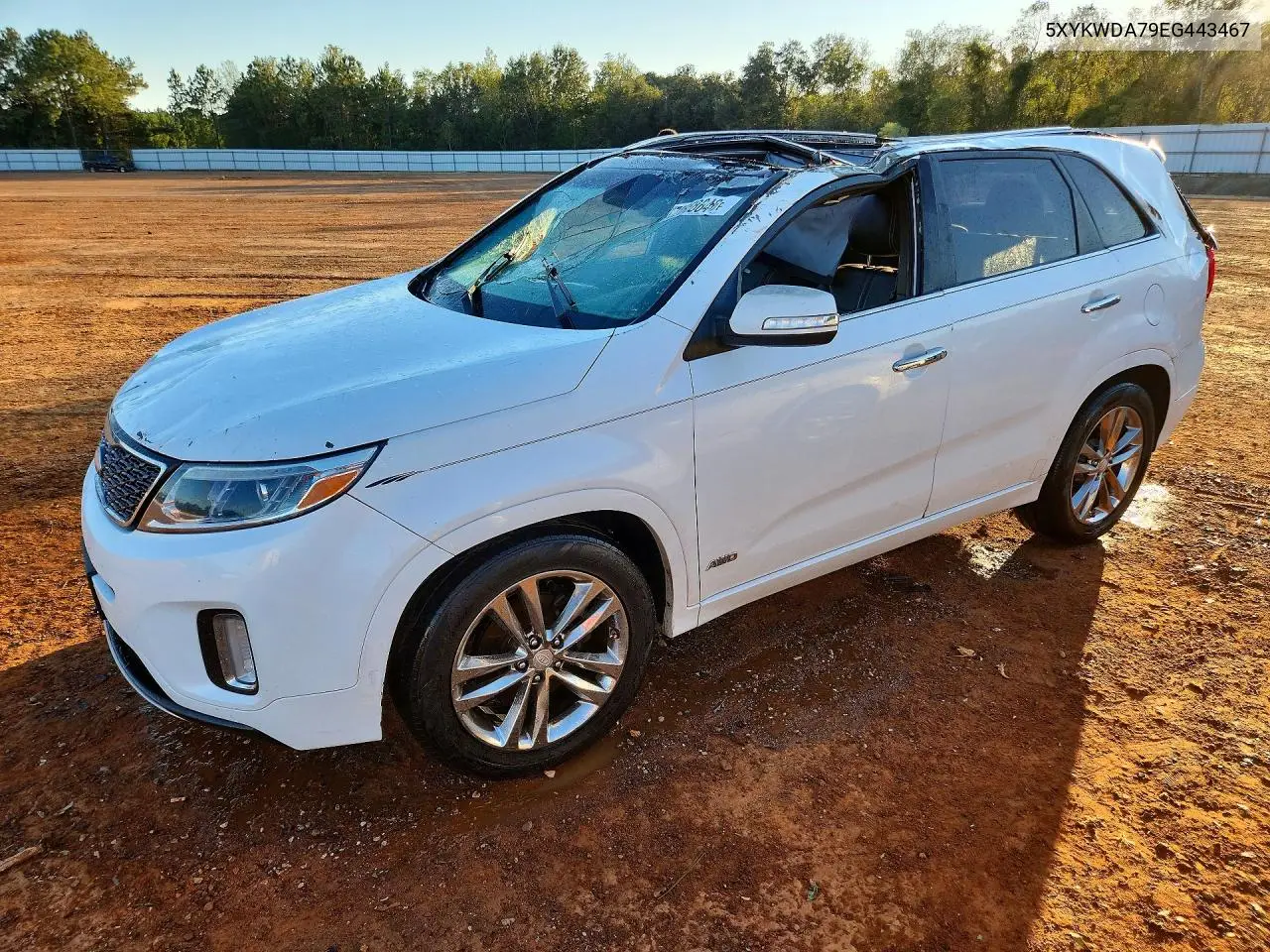 KIA SORENTO 2014, VIN 5XYKWDA79EG443467