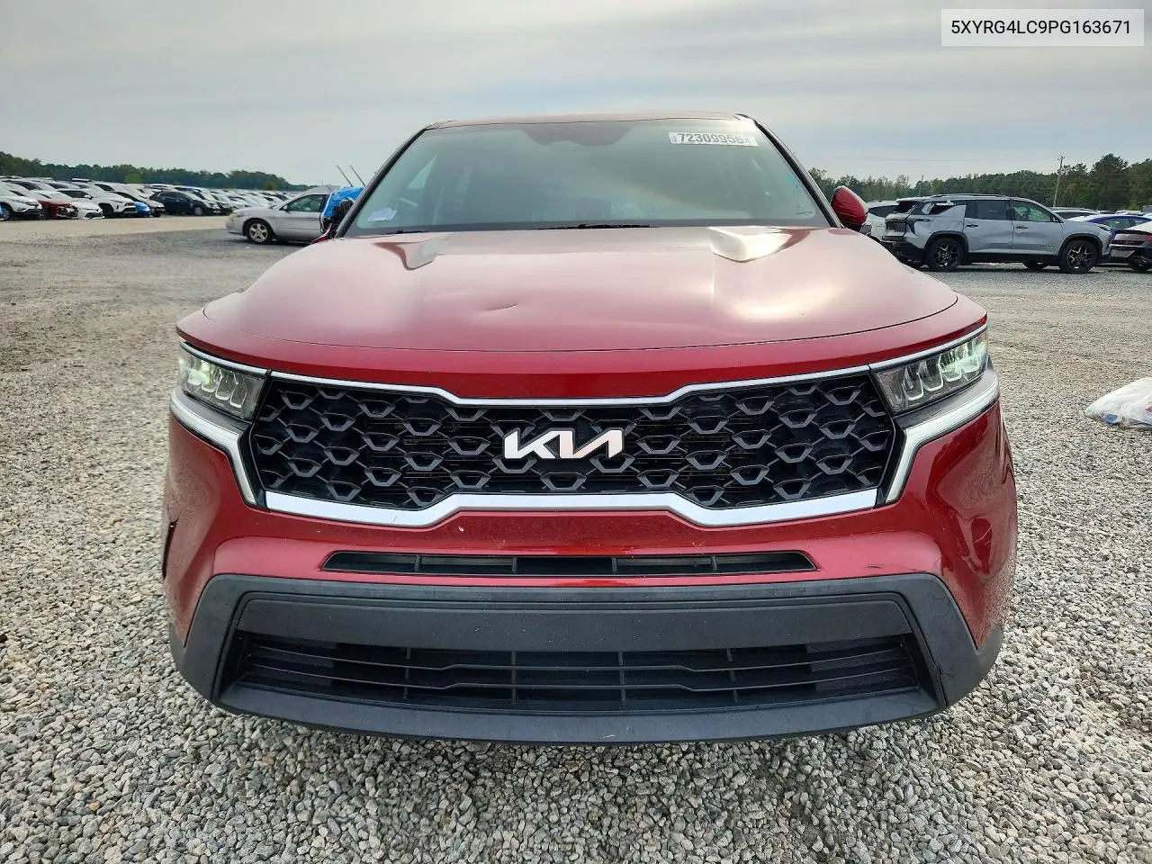 2023 KIA SORENTO VIN 5XYRG4LC9PG163671 — фото 5