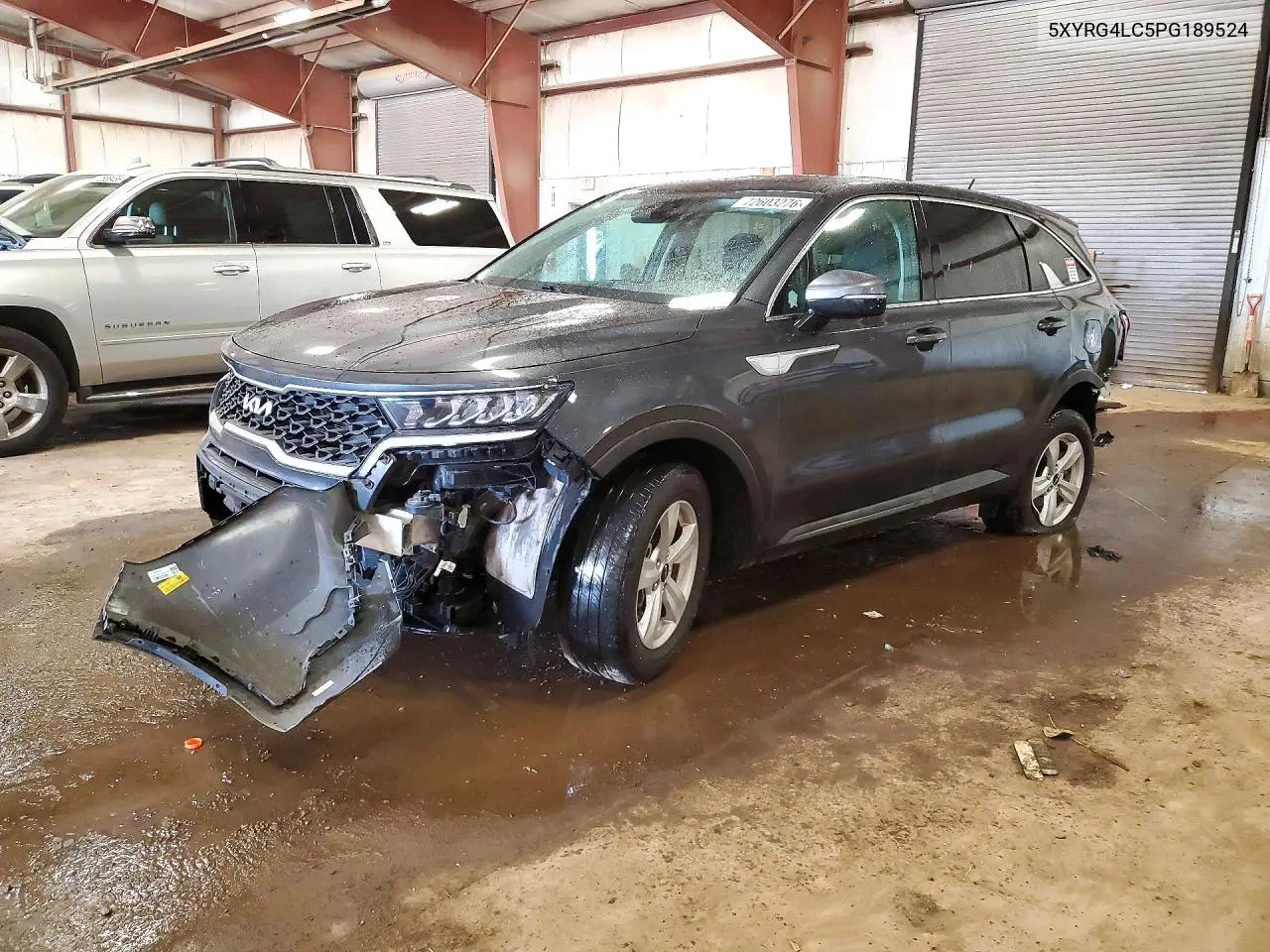 KIA SORENTO 2023, VIN 5XYRG4LC5PG189524