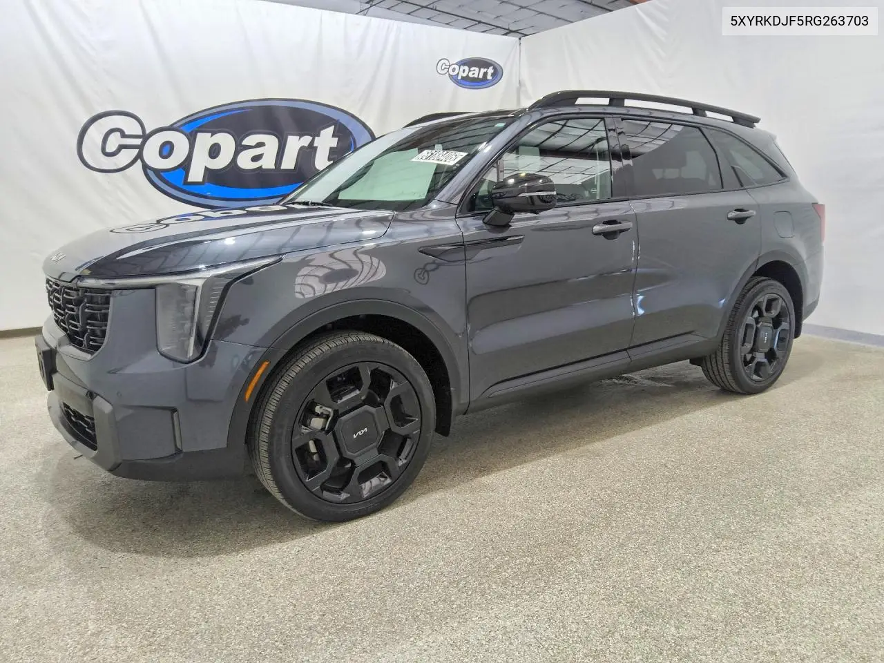 KIA SORENTO 2024, VIN 5XYRKDJF5RG263703