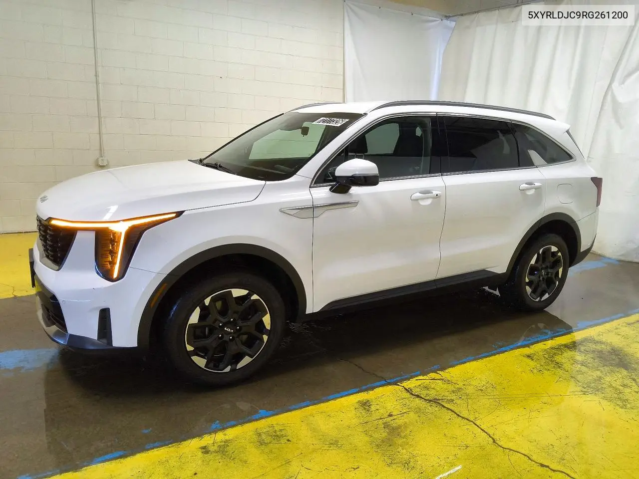 KIA SORENTO 2024, VIN 5XYRLDJC9RG261200