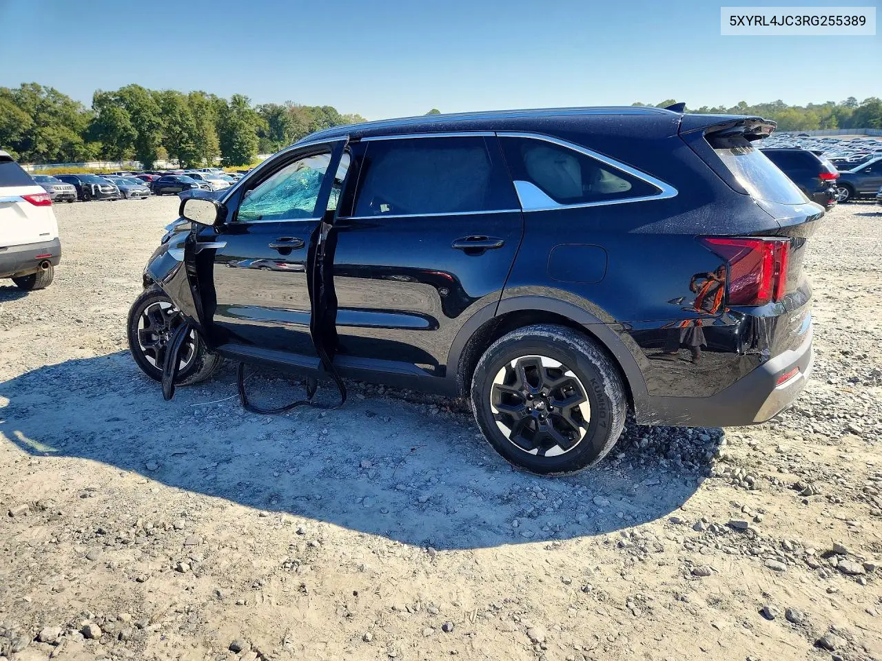 2024 KIA SORENTO VIN 5XYRL4JC3RG255389 — фото 2
