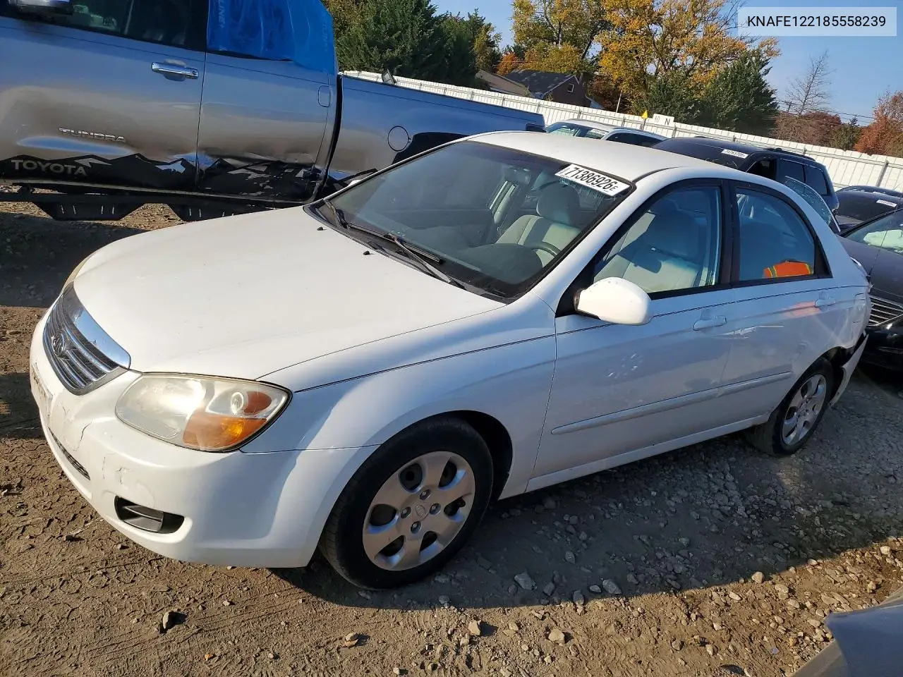 KIA SPECTRA 2008, VIN KNAFE122185558239