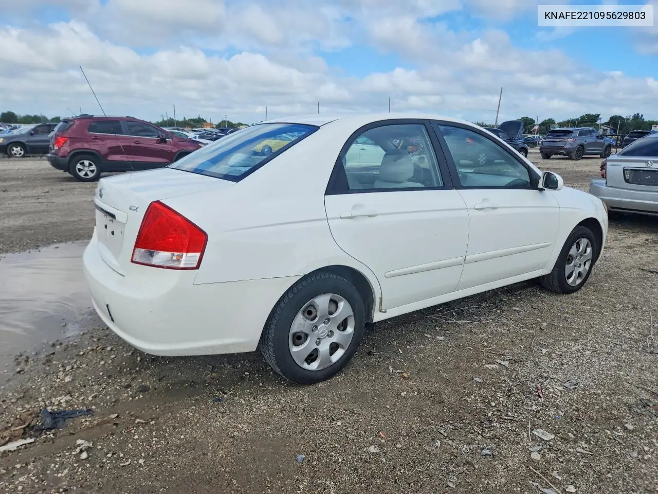 2009 KIA SPECTRA VIN KNAFE221095629803 — фото 3