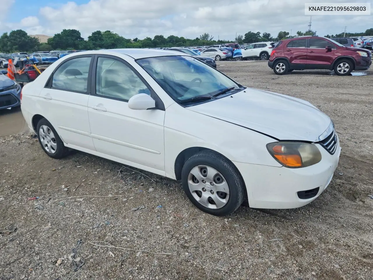 2009 KIA SPECTRA VIN KNAFE221095629803 — фото 4