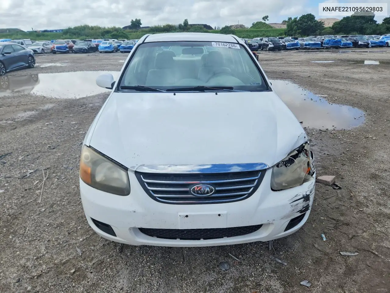 2009 KIA SPECTRA VIN KNAFE221095629803 — фото 5