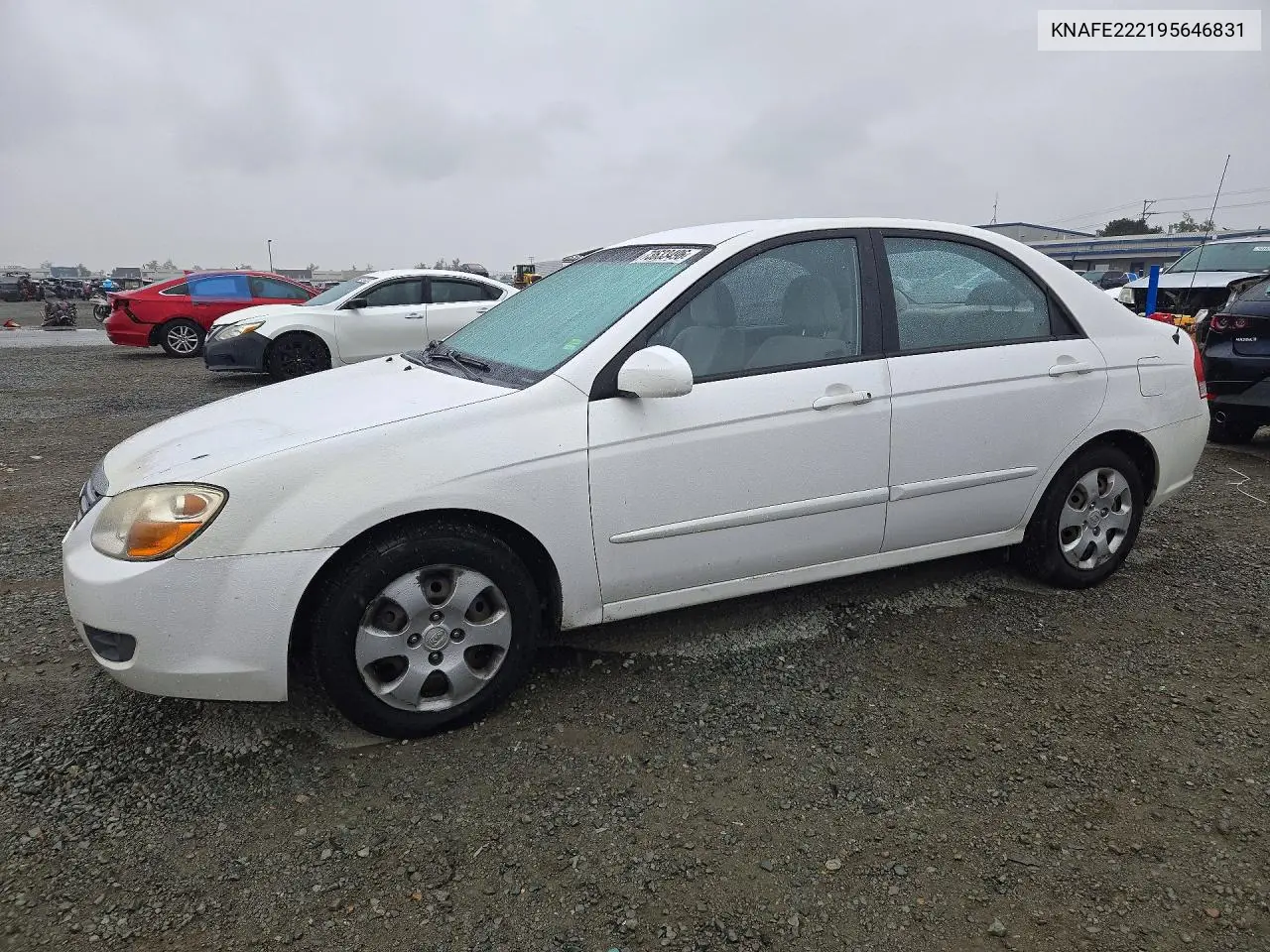 KIA SPECTRA 2009, VIN KNAFE222195646831