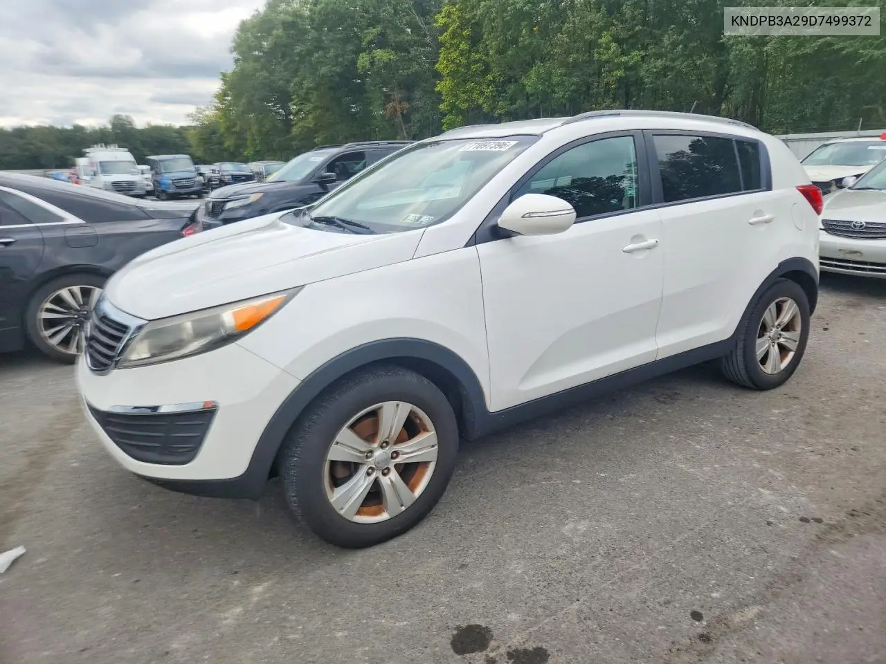 KIA SPORTAGE 2013, VIN KNDPB3A29D7499372
