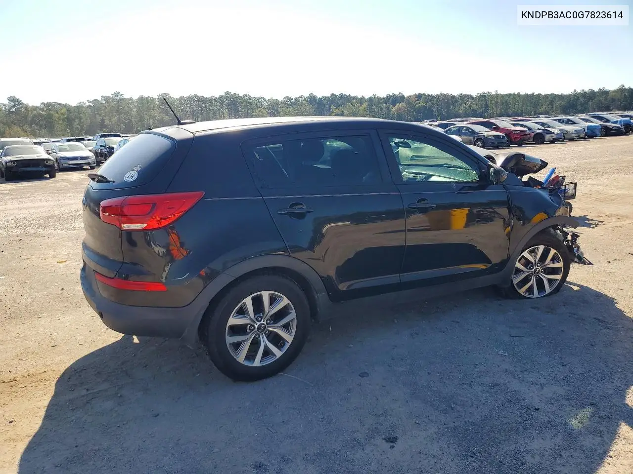 2016 KIA SPORTAGE VIN KNDPB3AC0G7823614 — фото 3