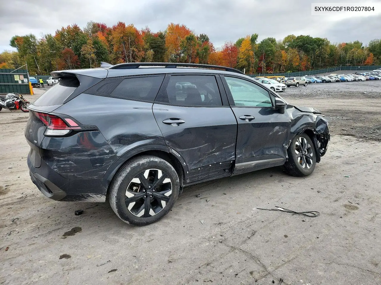 2024 KIA SPORTAGE VIN 5XYK6CDF1RG207804 — фото 3