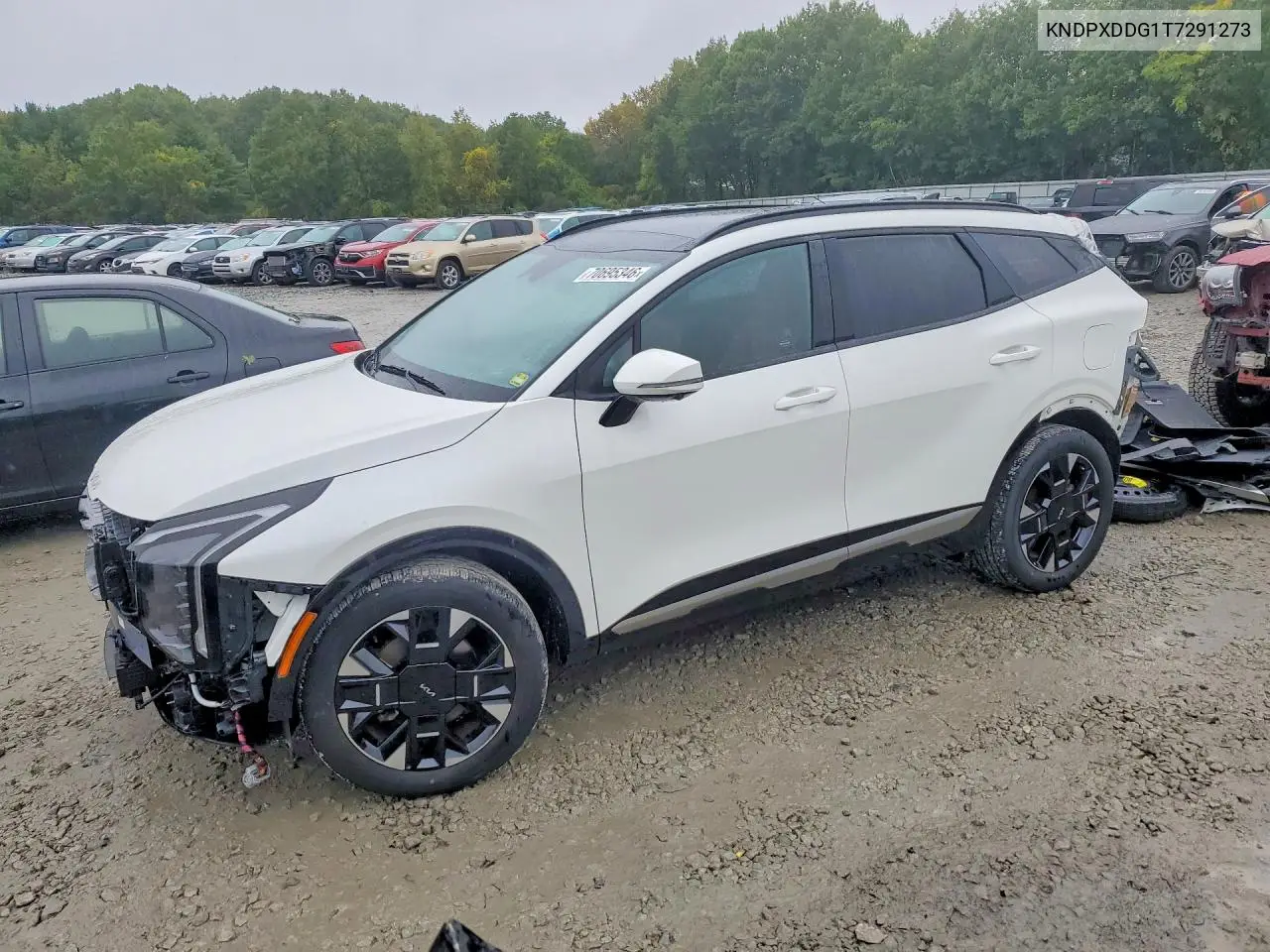 KIA SPORTAGE 2026, VIN KNDPXDDG1T7291273