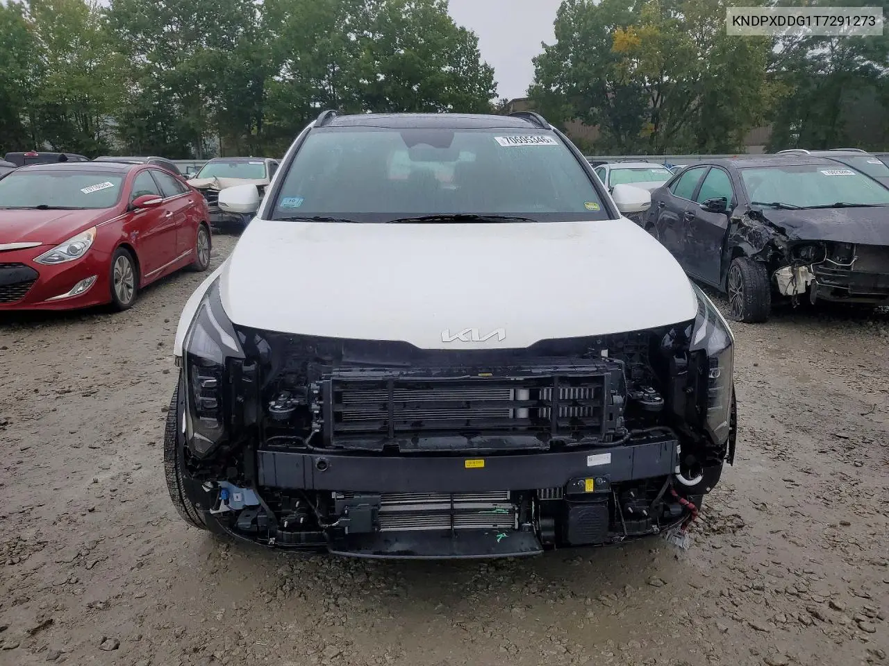 2026 KIA SPORTAGE VIN KNDPXDDG1T7291273 — фото 5