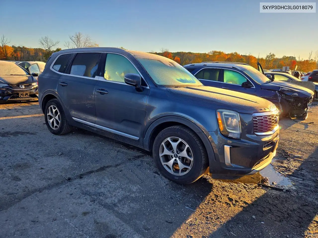 2020 KIA TELLURIDE VIN 5XYP3DHC3LG018079 — фото 4