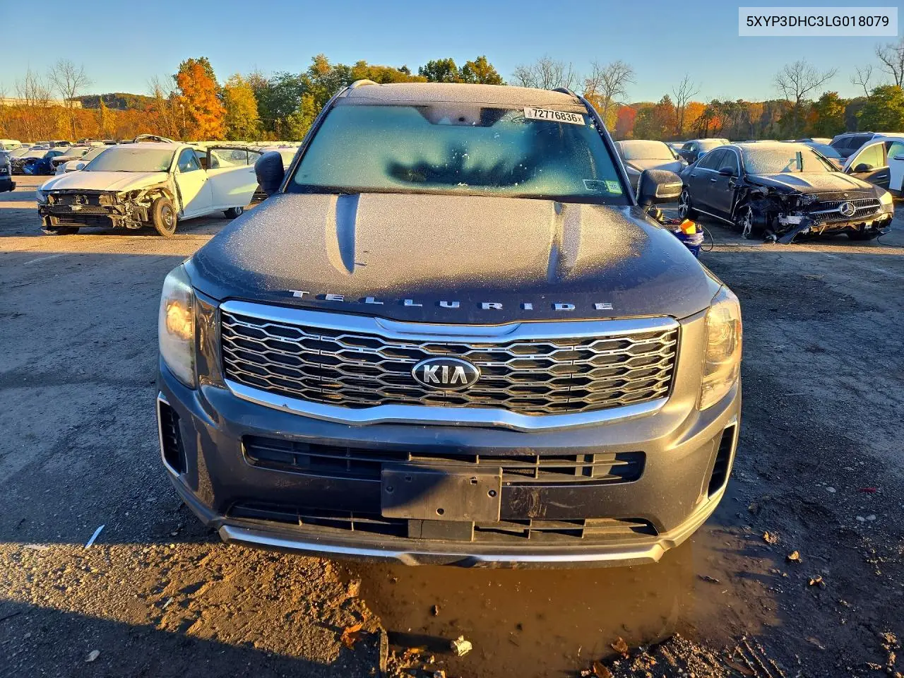 2020 KIA TELLURIDE VIN 5XYP3DHC3LG018079 — фото 5