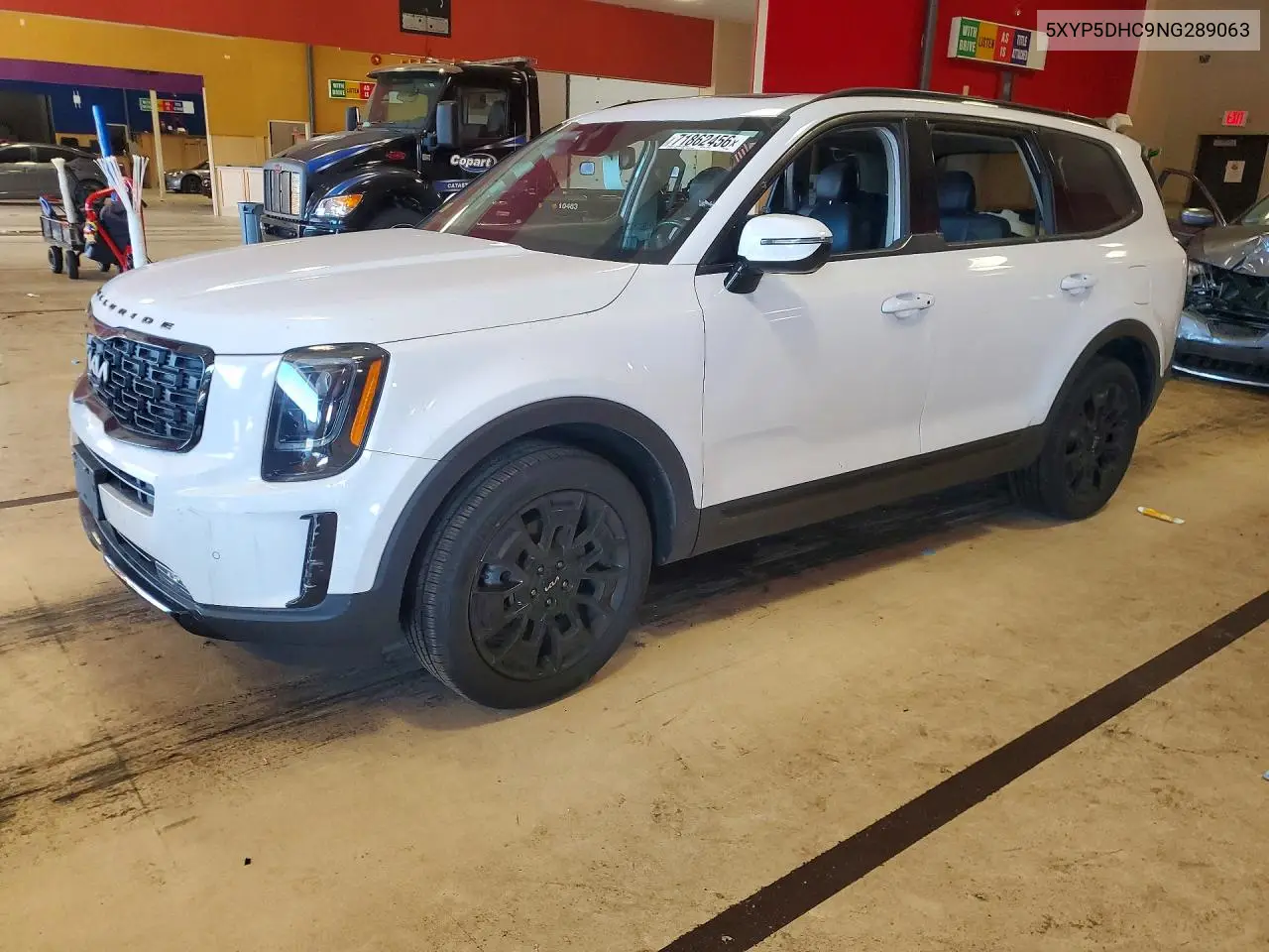 KIA TELLURIDE 2022, VIN 5XYP5DHC9NG289063