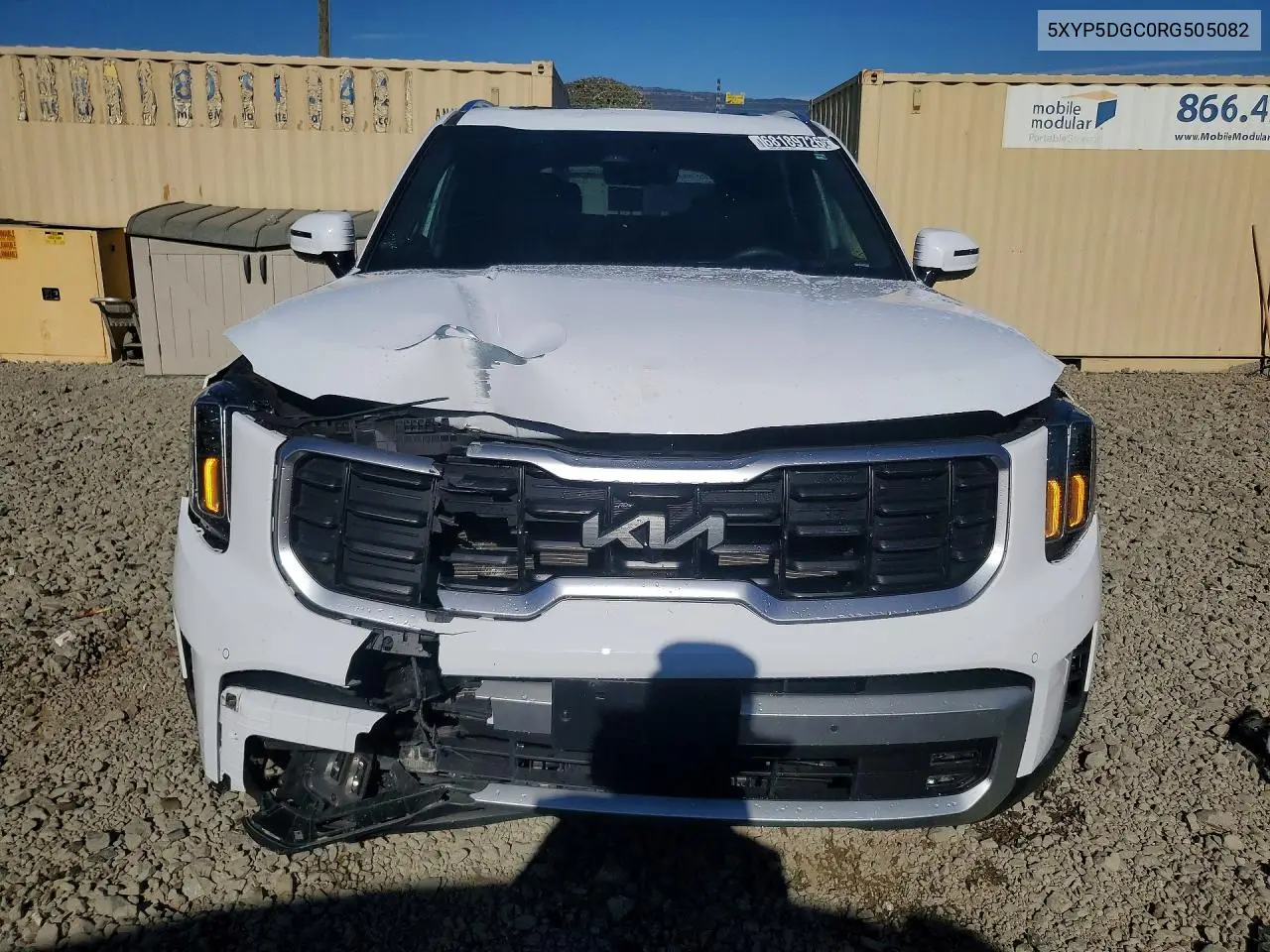 2024 KIA TELLURIDE VIN 5XYP5DGC0RG505082 — фото 5