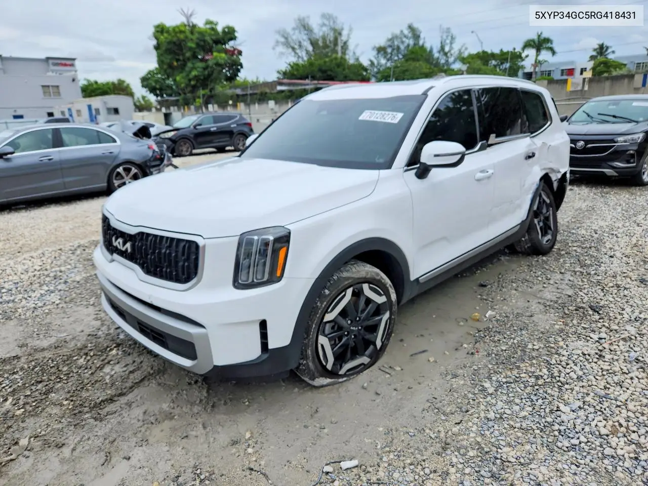 KIA TELLURIDE 2024, VIN 5XYP34GC5RG418431