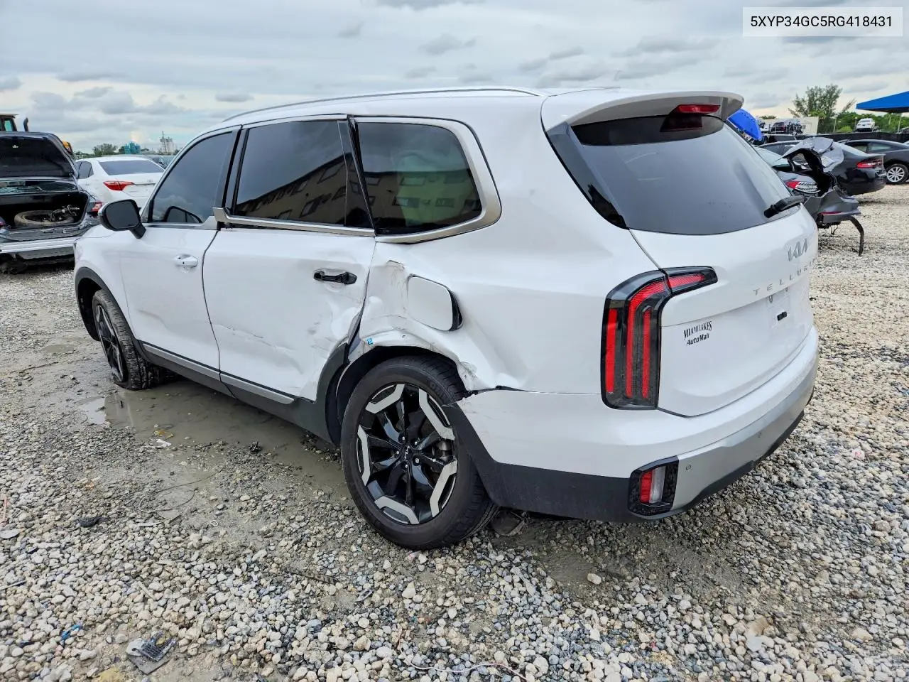 2024 KIA TELLURIDE VIN 5XYP34GC5RG418431 — фото 2