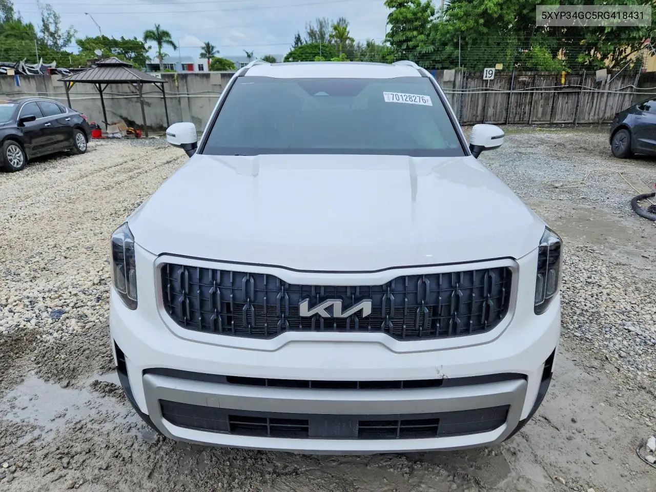 2024 KIA TELLURIDE VIN 5XYP34GC5RG418431 — фото 5