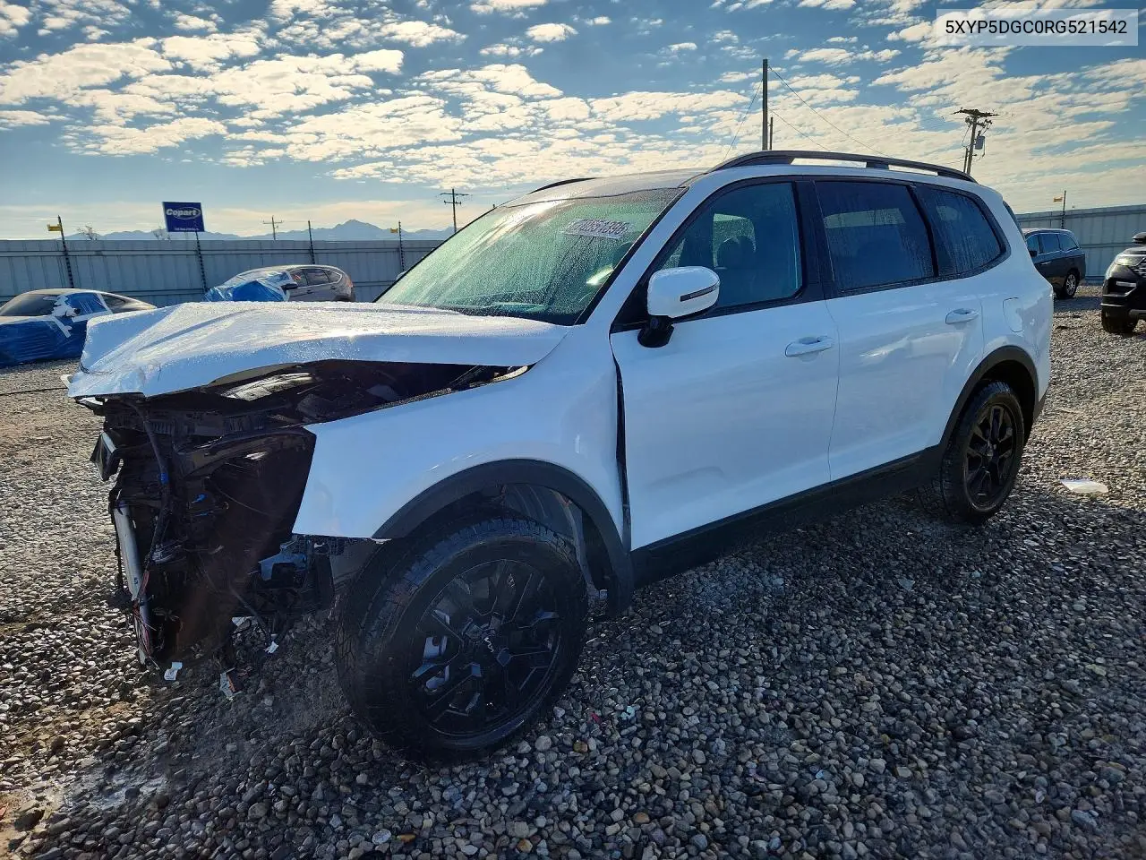 KIA TELLURIDE 2024, VIN 5XYP5DGC0RG521542