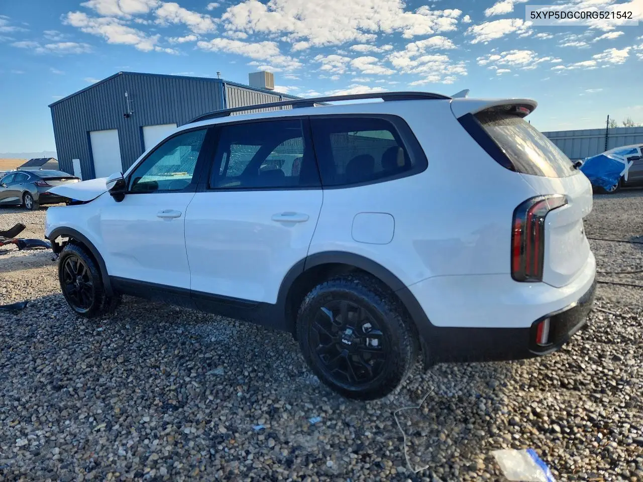2024 KIA TELLURIDE VIN 5XYP5DGC0RG521542 — фото 2