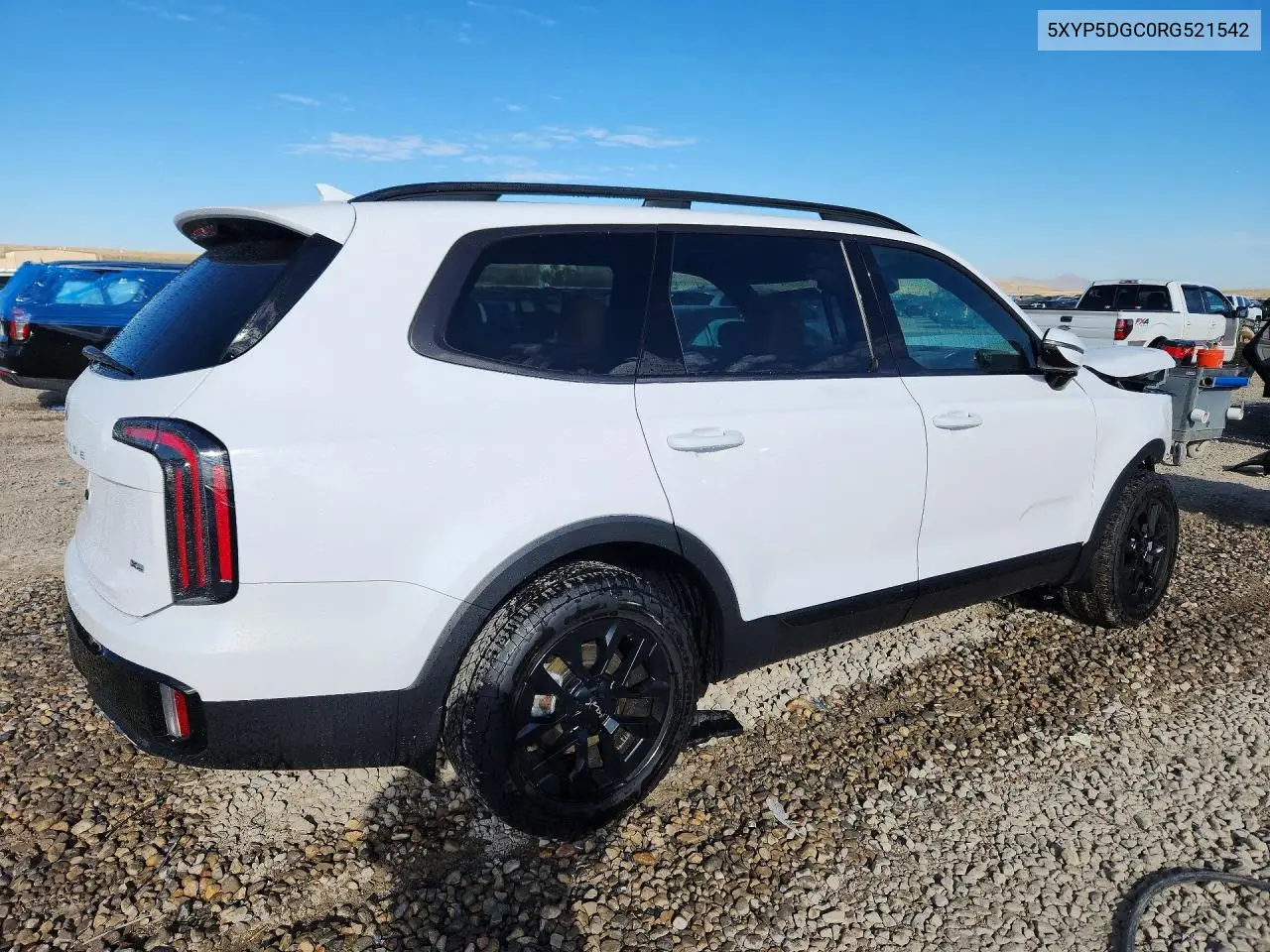 2024 KIA TELLURIDE VIN 5XYP5DGC0RG521542 — фото 3