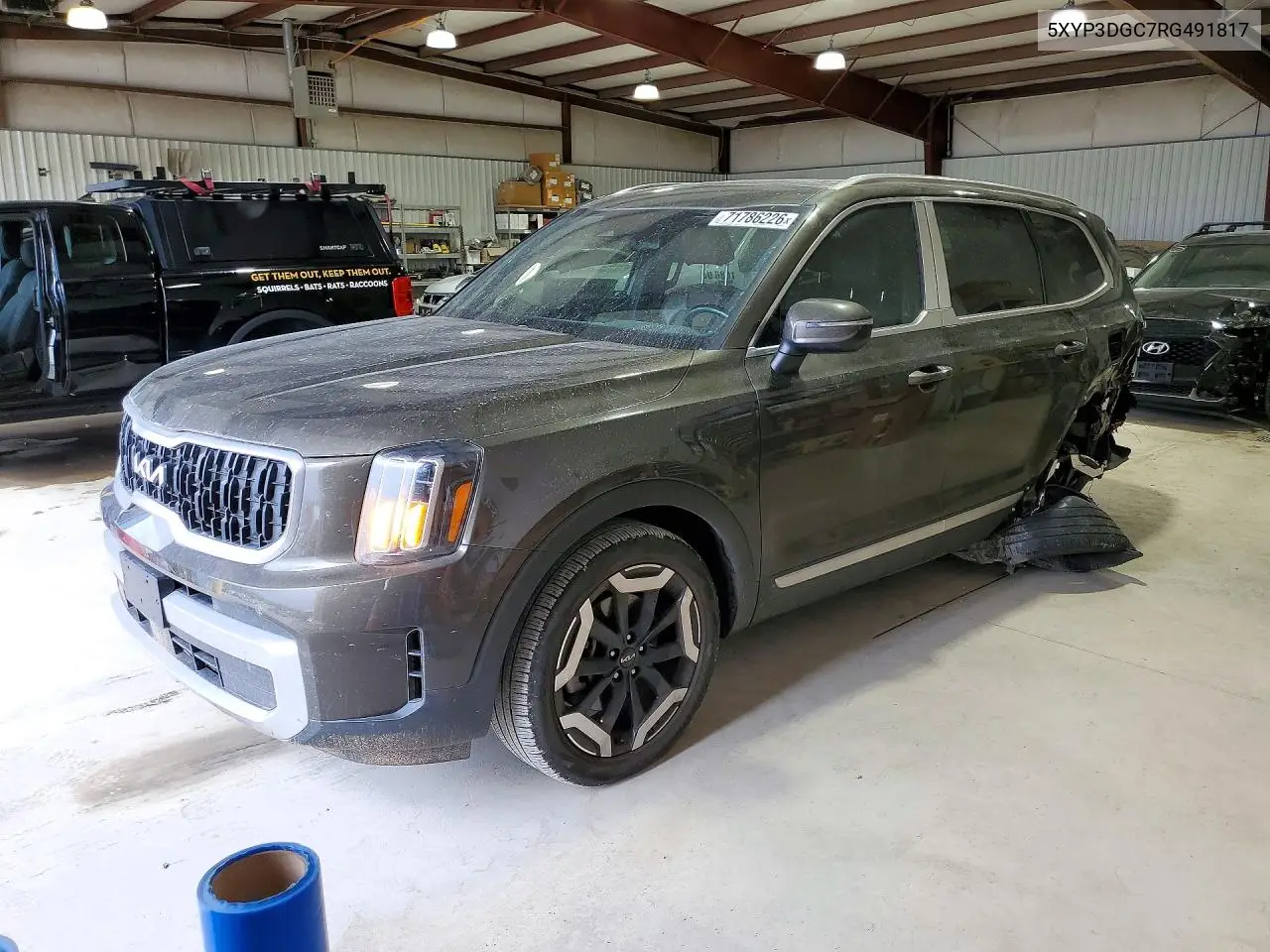 KIA TELLURIDE 2024, VIN 5XYP3DGC7RG491817