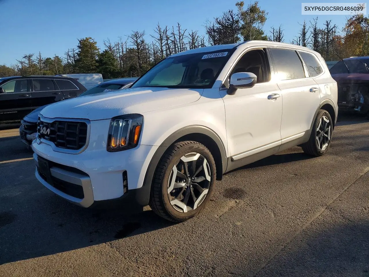 KIA TELLURIDE 2024, VIN 5XYP6DGC5RG486039