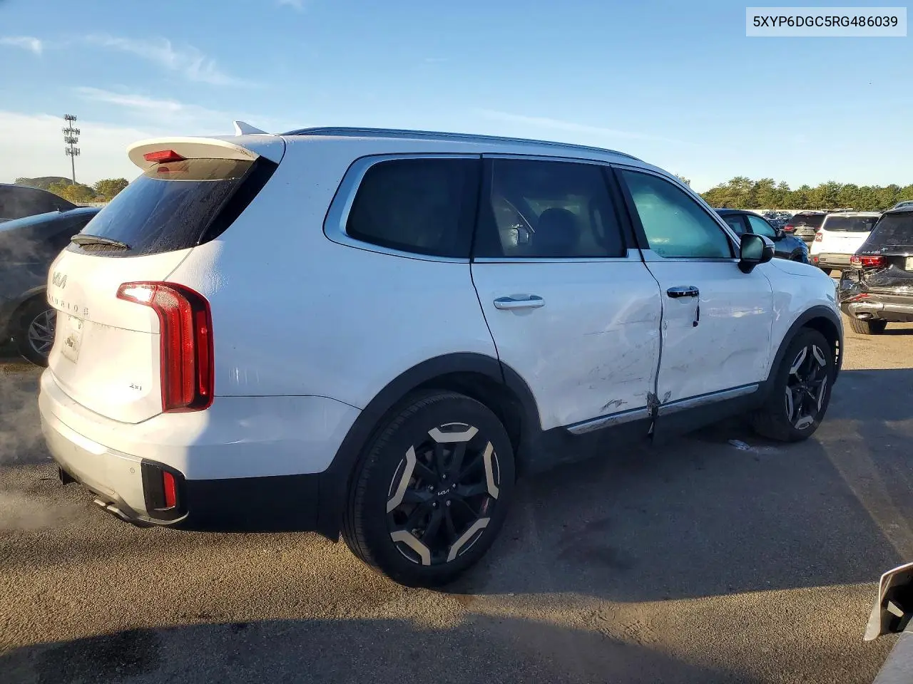 2024 KIA TELLURIDE VIN 5XYP6DGC5RG486039 — фото 3