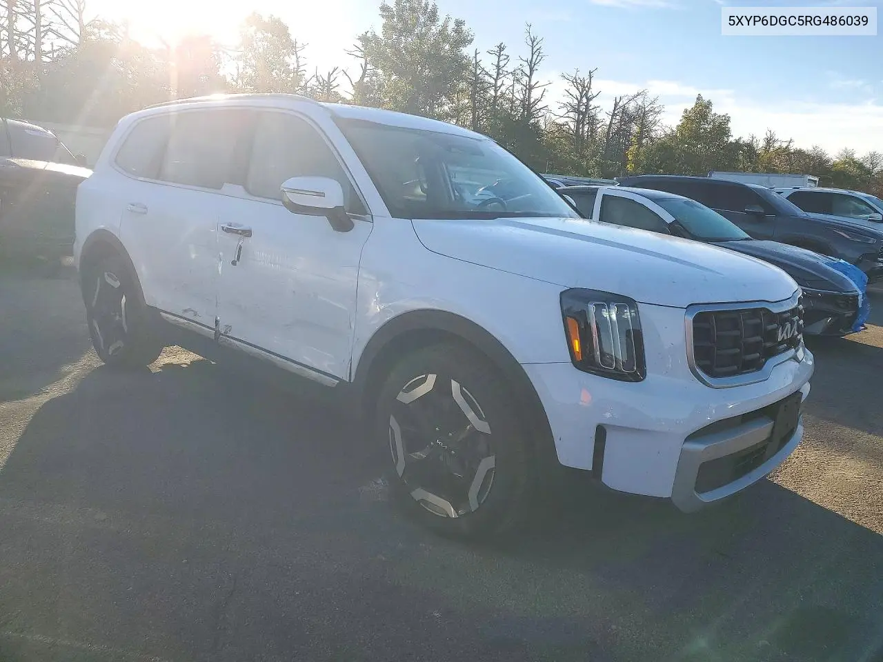 2024 KIA TELLURIDE VIN 5XYP6DGC5RG486039 — фото 4