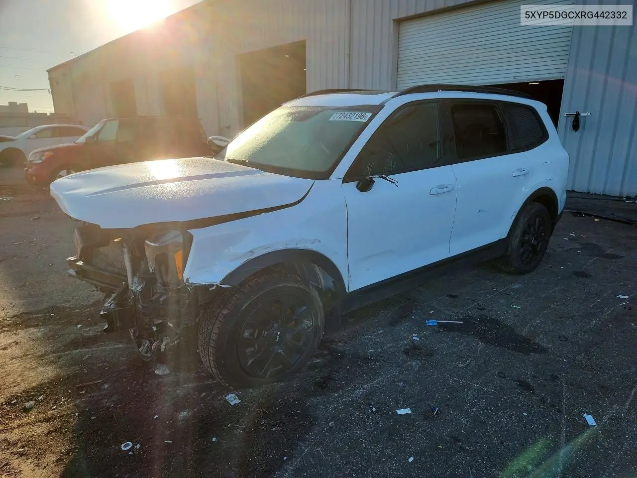 KIA TELLURIDE 2024, VIN 5XYP5DGCXRG442332