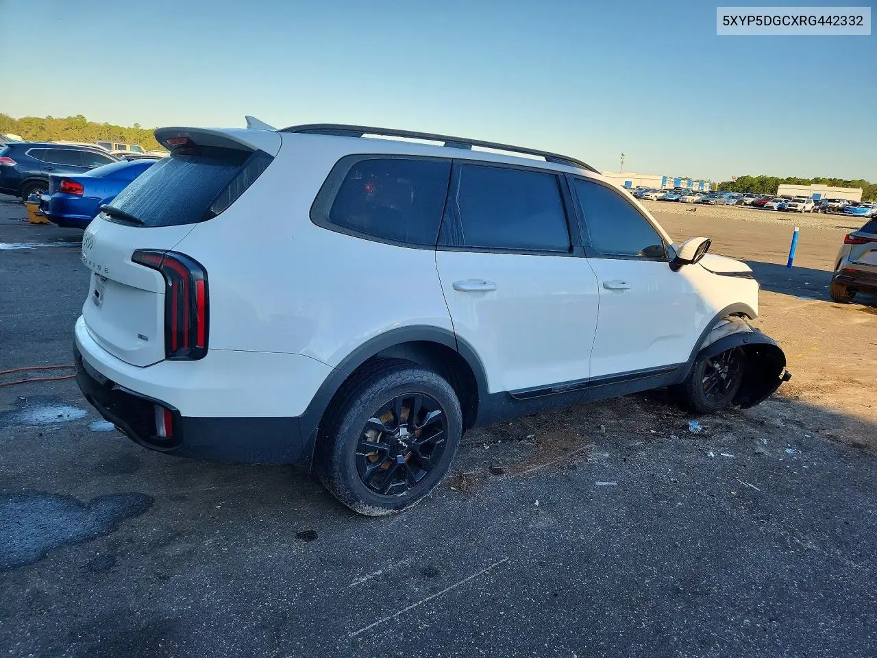 2024 KIA TELLURIDE VIN 5XYP5DGCXRG442332 — фото 3